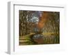 Yellow and Red Leaves in Autumn Along the Canal Du Midi, UNESCO World Heritage Site, Aude, Languedo-Tuul-Framed Photographic Print