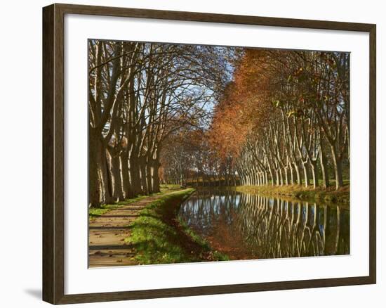 Yellow and Red Leaves in Autumn Along the Canal Du Midi, UNESCO World Heritage Site, Aude, Languedo-Tuul-Framed Photographic Print