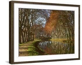 Yellow and Red Leaves in Autumn Along the Canal Du Midi, UNESCO World Heritage Site, Aude, Languedo-Tuul-Framed Photographic Print