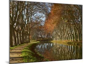 Yellow and Red Leaves in Autumn Along the Canal Du Midi, UNESCO World Heritage Site, Aude, Languedo-Tuul-Mounted Photographic Print