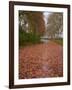 Yellow and Red Leaves in Autumn Along the Canal Du Midi, UNESCO World Heritage Site, Aude, Languedo-Tuul-Framed Photographic Print