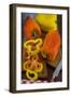 Yellow and Red Peppers or Bell Pepper, or Sweet Pepper, Cuisine-Nico Tondini-Framed Photographic Print