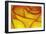 Yellow and red rose.-Adam Jones-Framed Premium Photographic Print