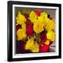 Yellow and Red Roses-Sarah Butcher-Framed Art Print