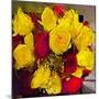 Yellow and Red Roses-Sarah Butcher-Mounted Art Print