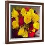 Yellow and Red Roses-Sarah Butcher-Framed Art Print