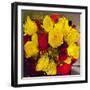 Yellow and Red Roses-Sarah Butcher-Framed Art Print