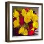 Yellow and Red Roses-Sarah Butcher-Framed Art Print