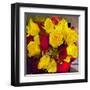 Yellow and Red Roses-Sarah Butcher-Framed Art Print