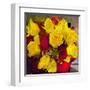 Yellow and Red Roses-Sarah Butcher-Framed Art Print