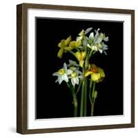 Yellow and White Daffodil Bouquet-Magda Indigo-Framed Photographic Print