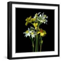 Yellow and White Daffodil Bouquet-Magda Indigo-Framed Photographic Print