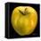 Yellow Apple-Nelly Arenas-Framed Stretched Canvas