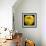 Yellow Apple-Nelly Arenas-Framed Art Print displayed on a wall