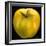 Yellow Apple-Nelly Arenas-Framed Art Print