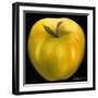 Yellow Apple-Nelly Arenas-Framed Art Print