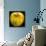 Yellow Apple-Nelly Arenas-Art Print displayed on a wall