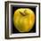 Yellow Apple-Nelly Arenas-Framed Art Print