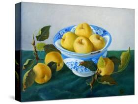 yellow apples in blue and white bowl-Cristiana Angelini-Stretched Canvas