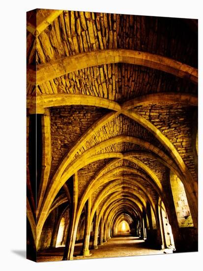 Yellow Arches 1-Doug Chinnery-Stretched Canvas