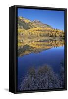 Yellow Aspen Trees Reflected in Priest Lake in the Fall-James Hager-Framed Stretched Canvas