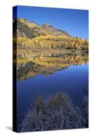 Yellow Aspen Trees Reflected in Priest Lake in the Fall-James Hager-Stretched Canvas