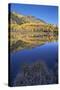 Yellow Aspen Trees Reflected in Priest Lake in the Fall-James Hager-Stretched Canvas