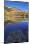 Yellow Aspen Trees Reflected in Priest Lake in the Fall-James Hager-Mounted Photographic Print