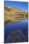 Yellow Aspen Trees Reflected in Priest Lake in the Fall-James Hager-Mounted Photographic Print