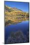 Yellow Aspen Trees Reflected in Priest Lake in the Fall-James Hager-Mounted Photographic Print