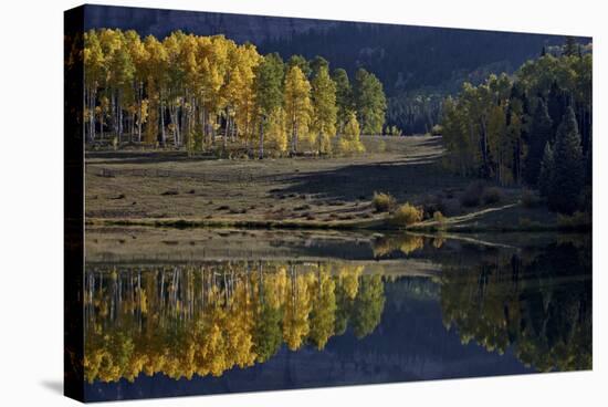 Yellow Aspens Among Evergreens in the Fall Reflected in a Lake-James Hager-Stretched Canvas