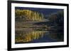 Yellow Aspens Among Evergreens in the Fall Reflected in a Lake-James Hager-Framed Premium Photographic Print