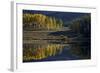 Yellow Aspens Among Evergreens in the Fall Reflected in a Lake-James Hager-Framed Photographic Print