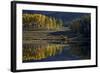 Yellow Aspens Among Evergreens in the Fall Reflected in a Lake-James Hager-Framed Photographic Print