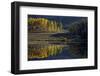 Yellow Aspens Among Evergreens in the Fall Reflected in a Lake-James Hager-Framed Photographic Print