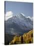 Yellow Aspens and Snow-Covered Mountains, Uncompahgre National Forest, Colorado, USA-James Hager-Stretched Canvas