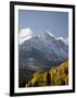 Yellow Aspens and Snow-Covered Mountains, Uncompahgre National Forest, Colorado, USA-James Hager-Framed Photographic Print