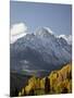 Yellow Aspens and Snow-Covered Mountains, Uncompahgre National Forest, Colorado, USA-James Hager-Mounted Photographic Print