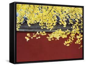 Yellow Autumn Coloured Leaves Against a Red Wall in Ritan Park, Beijing, China-Kober Christian-Framed Stretched Canvas