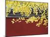 Yellow Autumn Coloured Leaves Against a Red Wall in Ritan Park, Beijing, China-Kober Christian-Mounted Photographic Print