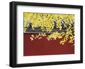 Yellow Autumn Coloured Leaves Against a Red Wall in Ritan Park, Beijing, China-Kober Christian-Framed Photographic Print