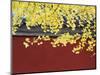 Yellow Autumn Coloured Leaves Against a Red Wall in Ritan Park, Beijing, China-Kober Christian-Mounted Photographic Print