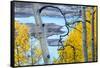 Yellow Autumn Leaves on Turquoise Aspen Waters, Silver Jack Reservoir, Uncompahgre National Forest-Judith Zimmerman-Framed Stretched Canvas