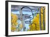 Yellow Autumn Leaves on Turquoise Aspen Waters, Silver Jack Reservoir, Uncompahgre National Forest-Judith Zimmerman-Framed Photographic Print