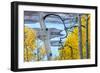 Yellow Autumn Leaves on Turquoise Aspen Waters, Silver Jack Reservoir, Uncompahgre National Forest-Judith Zimmerman-Framed Photographic Print