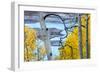 Yellow Autumn Leaves on Turquoise Aspen Waters, Silver Jack Reservoir, Uncompahgre National Forest-Judith Zimmerman-Framed Photographic Print