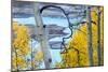 Yellow Autumn Leaves on Turquoise Aspen Waters, Silver Jack Reservoir, Uncompahgre National Forest-Judith Zimmerman-Mounted Photographic Print