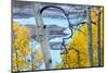 Yellow Autumn Leaves on Turquoise Aspen Waters, Silver Jack Reservoir, Uncompahgre National Forest-Judith Zimmerman-Mounted Photographic Print