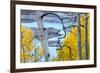 Yellow Autumn Leaves on Turquoise Aspen Waters, Silver Jack Reservoir, Uncompahgre National Forest-Judith Zimmerman-Framed Photographic Print