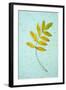 Yellow Autumn-Den Reader-Framed Photographic Print